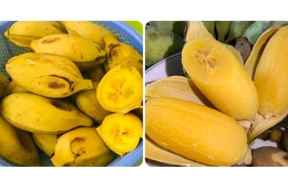 Chuối sáp luộc