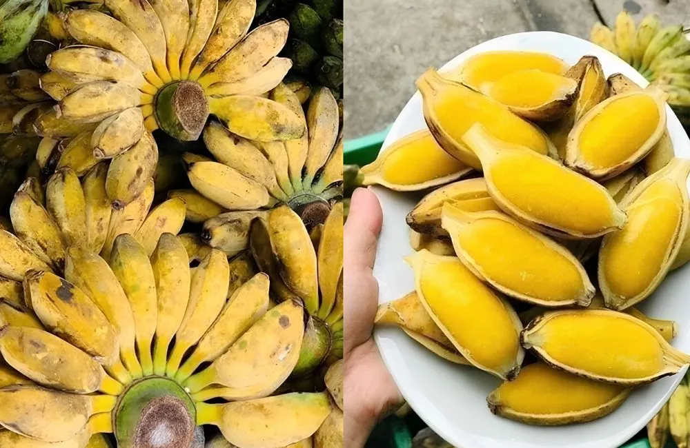 Chuối sáp luộc