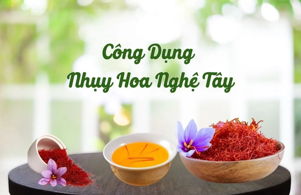 Công dụng nhụy hoa nghệ tây