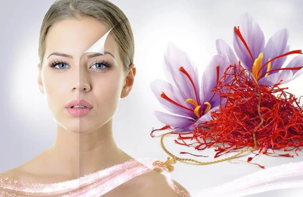 Công dụng nhụy hoa nghệ tây