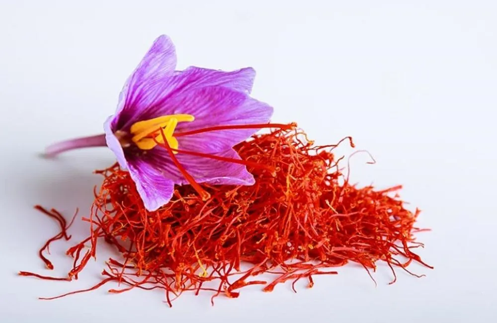 Công dụng nhụy hoa nghệ tây