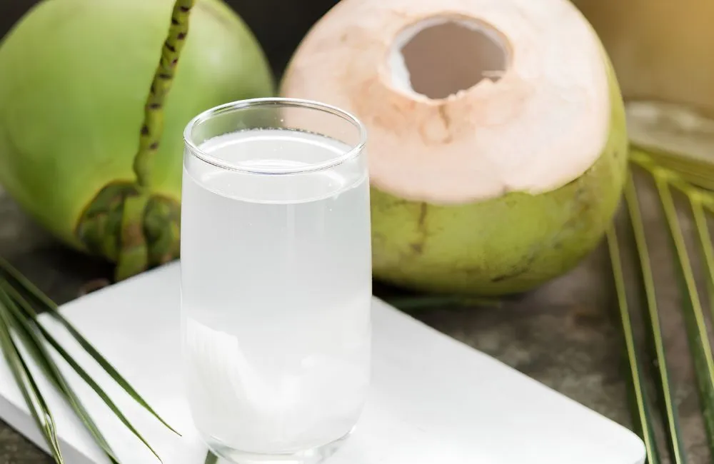 Đặc điểm dừa dứa
