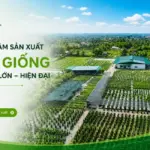 5 tiêu chí đánh giá một đơn vị cây giống uy tín