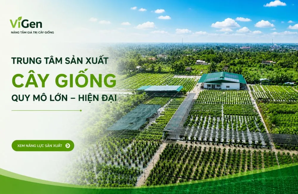 Đơn vị cây giống uy tín