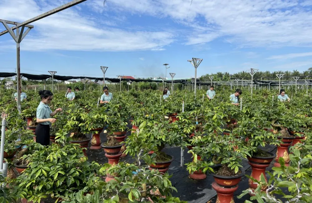 Đơn vị cây giống uy tín