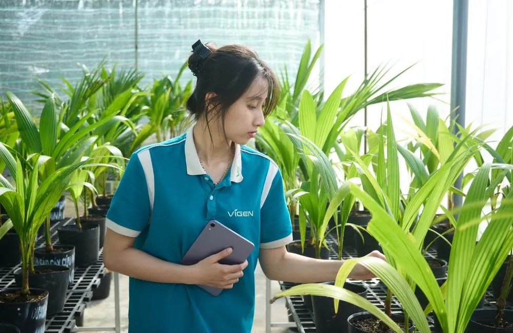 Đơn vị cây giống uy tín