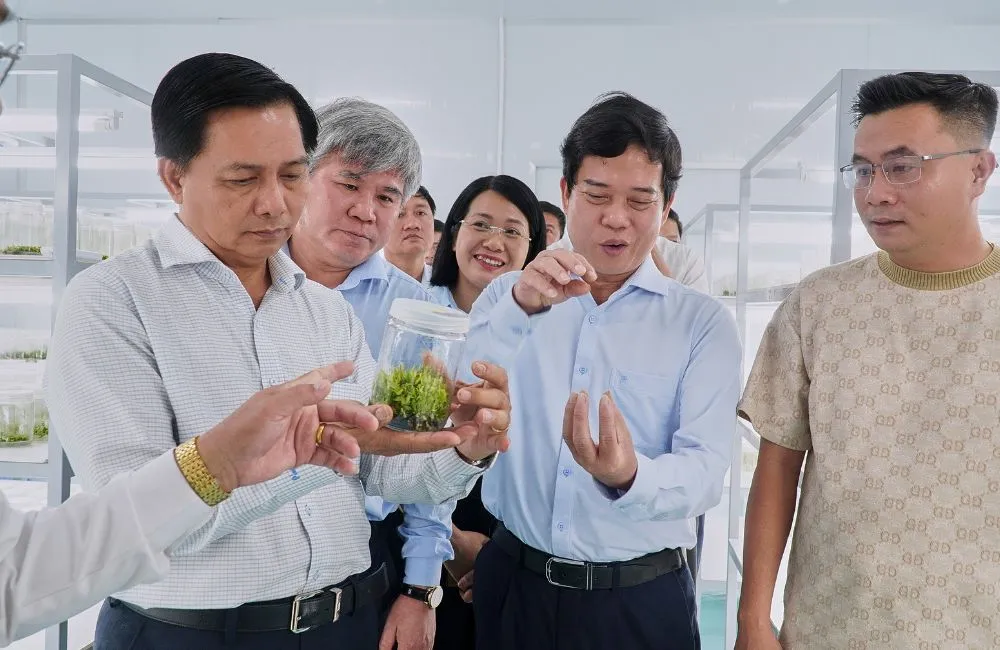 Đơn vị cây giống uy tín