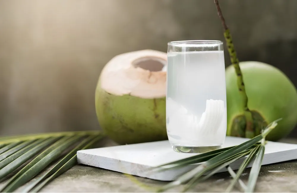 Dừa Xiêm Xanh Cấy Mô
