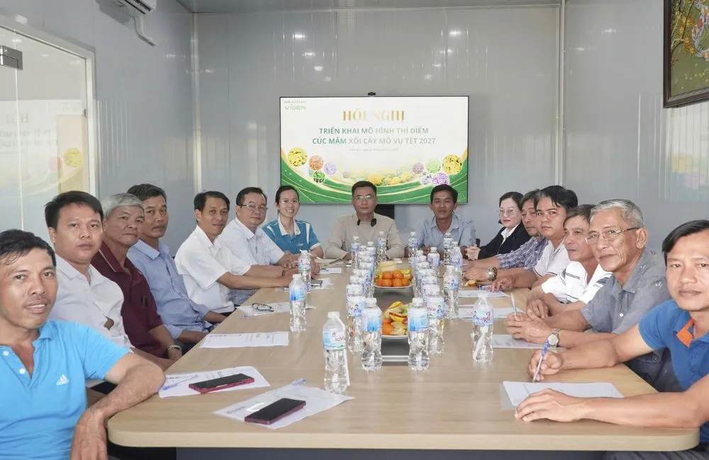 Hội nghị triển khai mô hình thí điểm cúc mâm xôi cấy mô vụ tết 2027