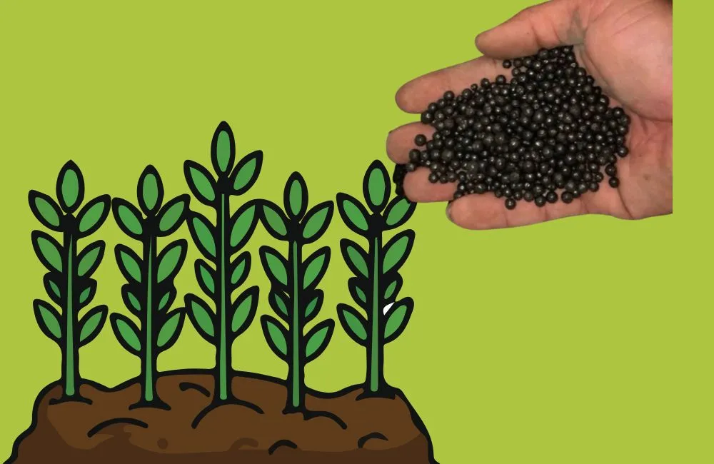 Humic Viên Tròn Siêu Black
