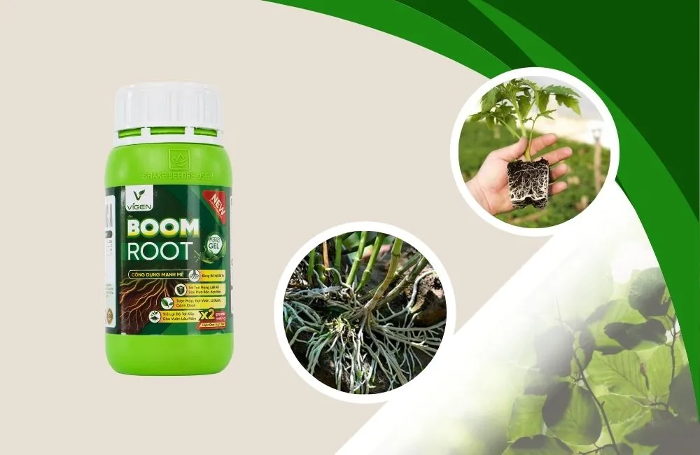 Kích Rễ Dạng Gel BOOM ROOT