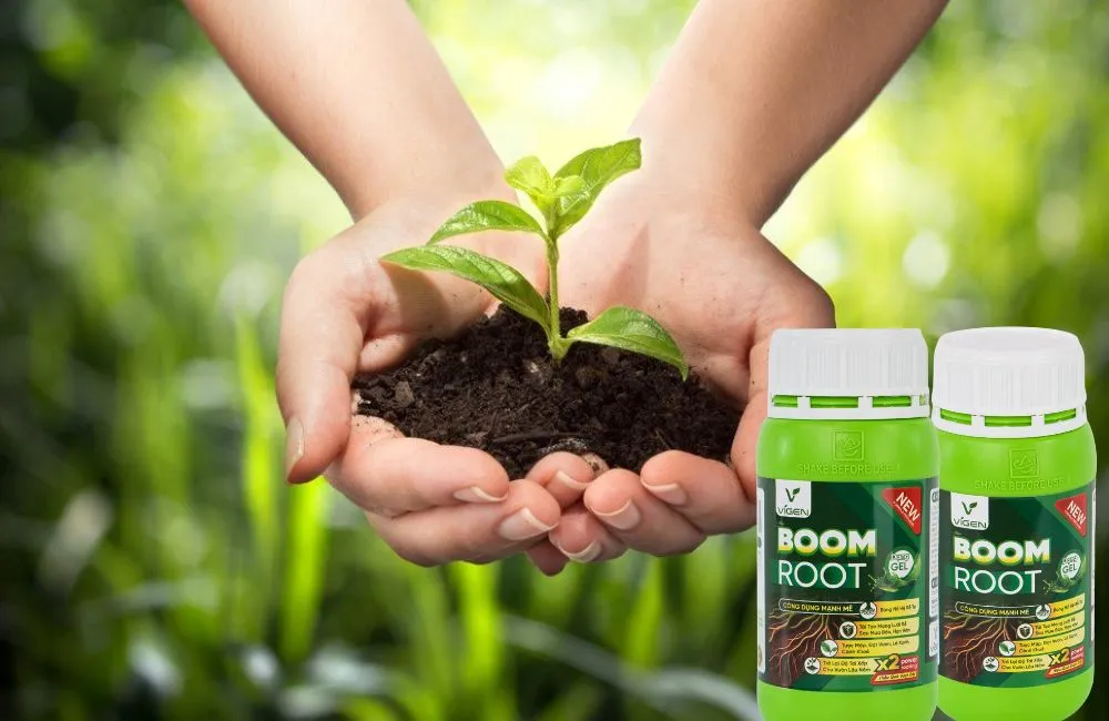 Kích Rễ Dạng Gel BOOM ROOT