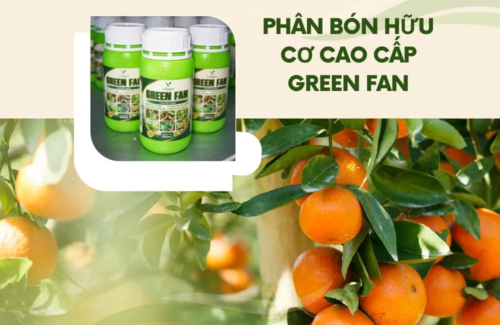 Phân bón hữu cơ cao cấp Green Fan