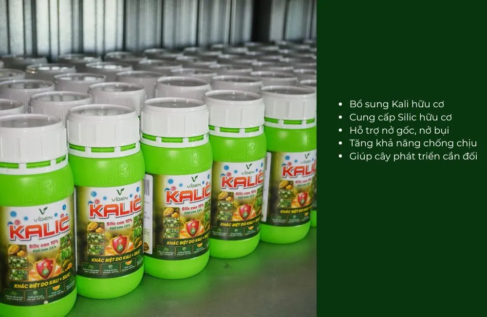 Phân bón hữu cơ cao cấp Kalic