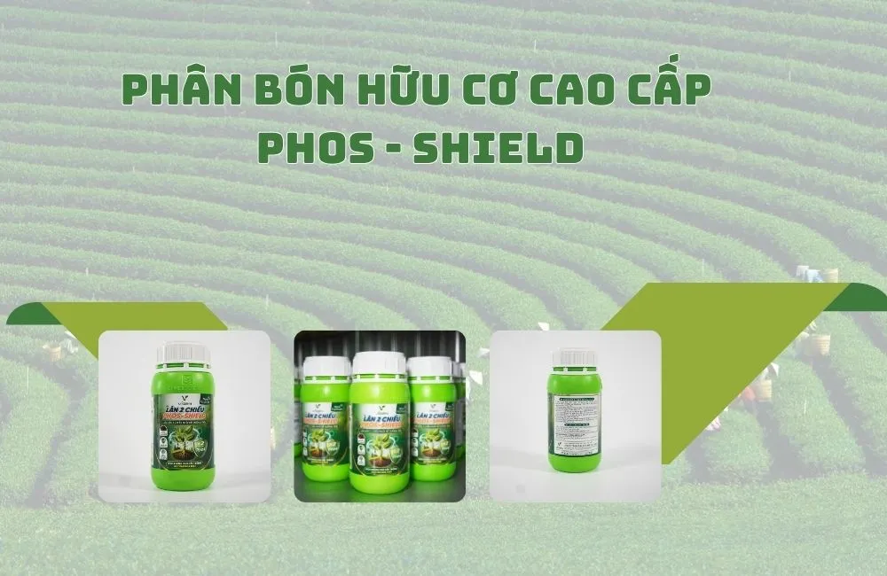 Phân Bón Hữu Cơ Cao Cấp Phos-Shield