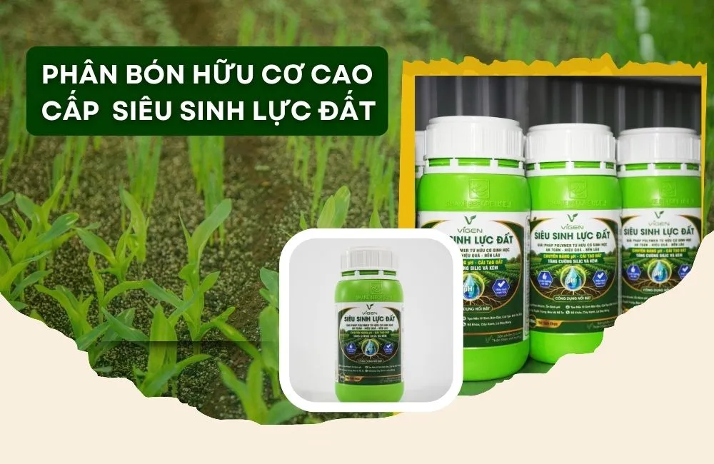 Phân Bón Hữu Cơ Cao Cấp siêu sinh lực đất