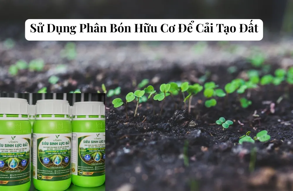 Phân Bón Hữu Cơ Cao Cấp siêu sinh lực đất