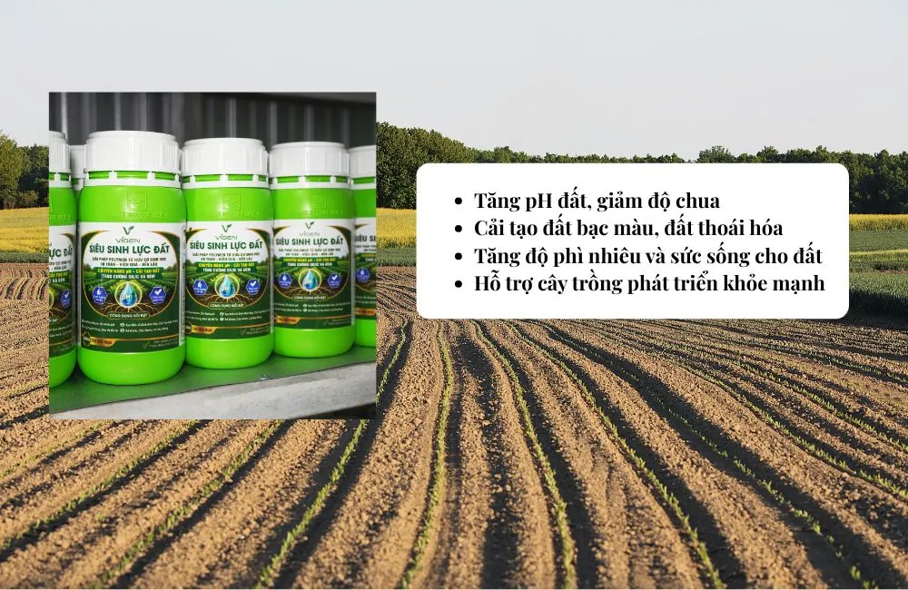Phân Bón Hữu Cơ Cao Cấp siêu sinh lực đất