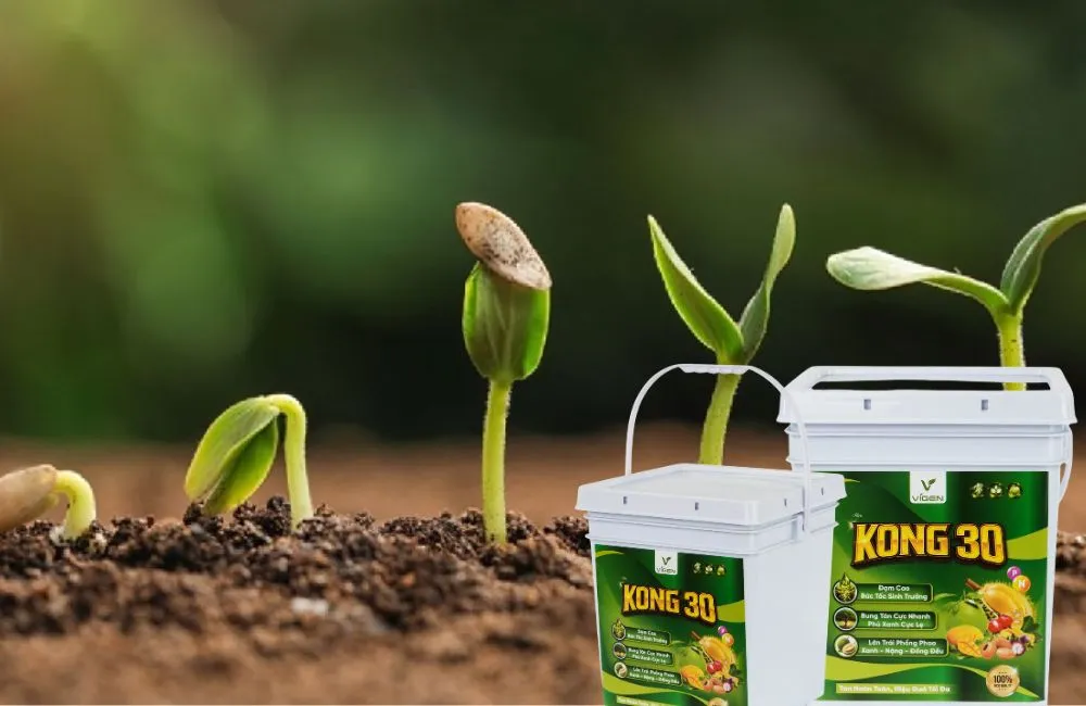 Phân Bón NP Cao Cấp KONG 30