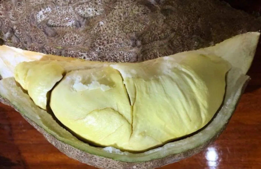 Sầu riêng đột biến không gai