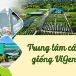 Trung tâm cây giống - Mắt xích quan trọng của dự án nông nghiệp