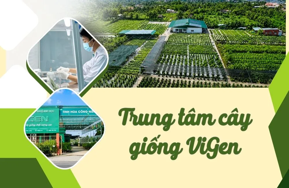 Trung tâm cây giống ViGen
