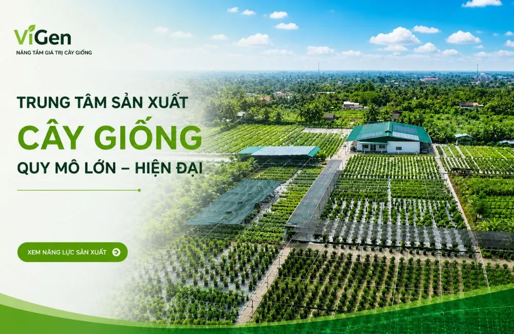 Trung tâm cây giống ViGen