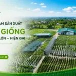 Cách chọn trung tâm giống cây trồng uy tín khi mua cây giống