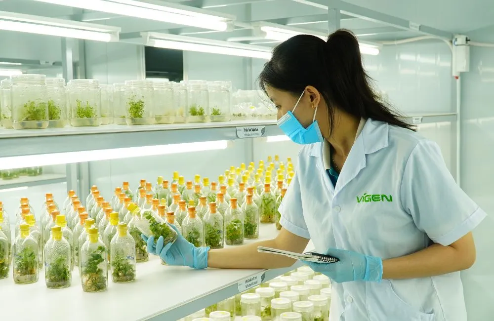 Trung tâm giống cây trồng uy tín
