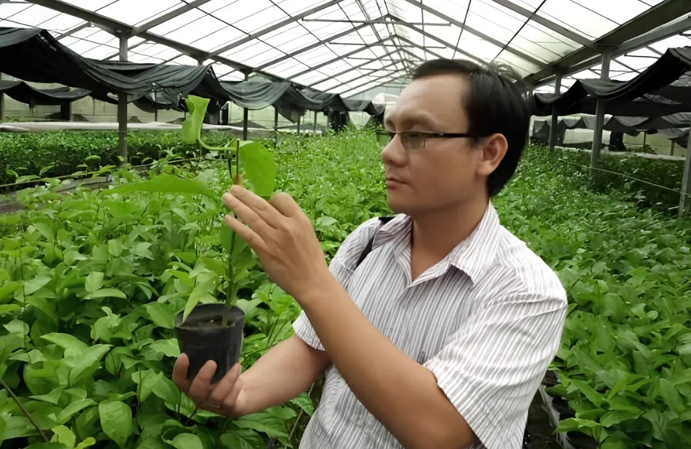 Trung tâm giống cây trồng uy tín