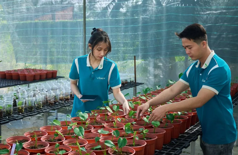 Trung tâm giống cây trông ViGen 