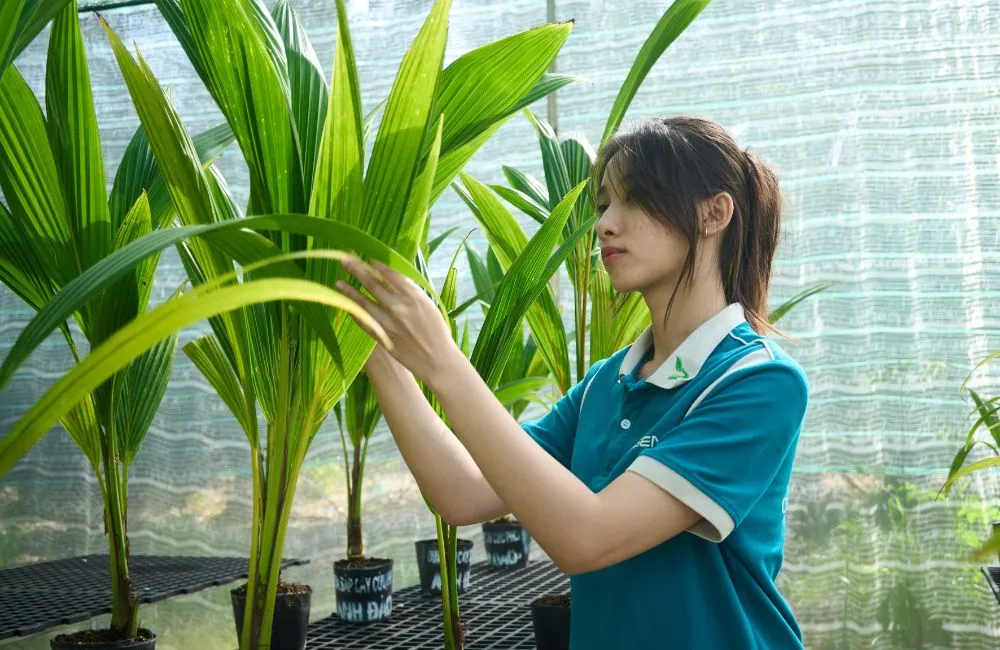 Vườn cây giống ViGen