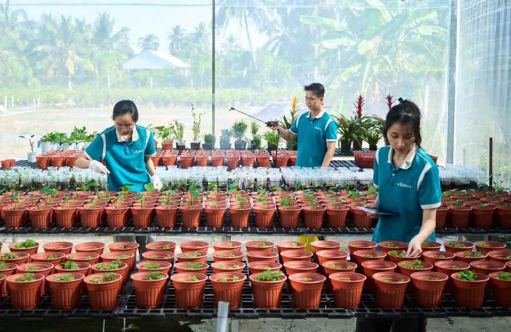 Vườn cây giống ViGen