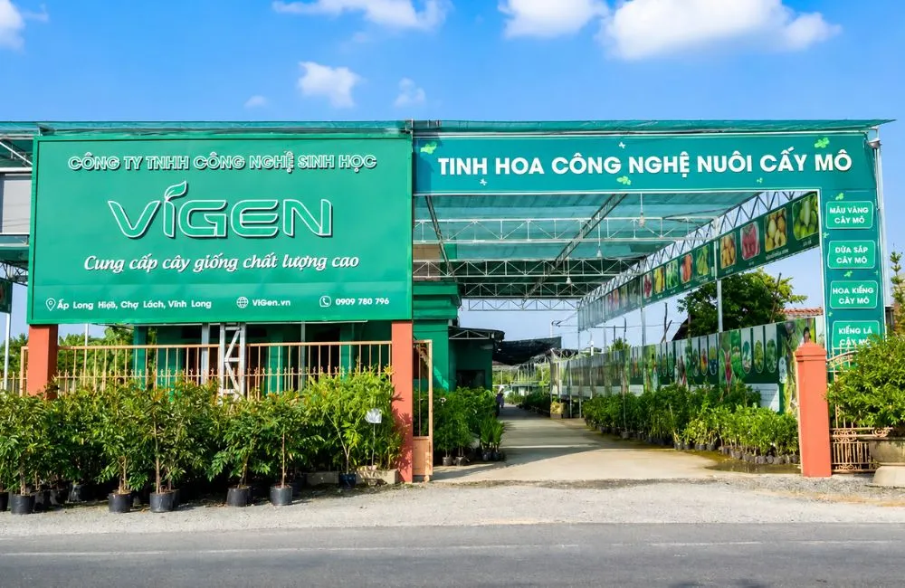 Vườn ươm cây giống uy tín
