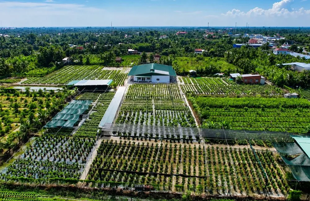 Vườn ươm cây giống uy tín