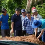 ViGen hướng dẫn xử lý giá thể trồng cúc cho vụ tết 2027