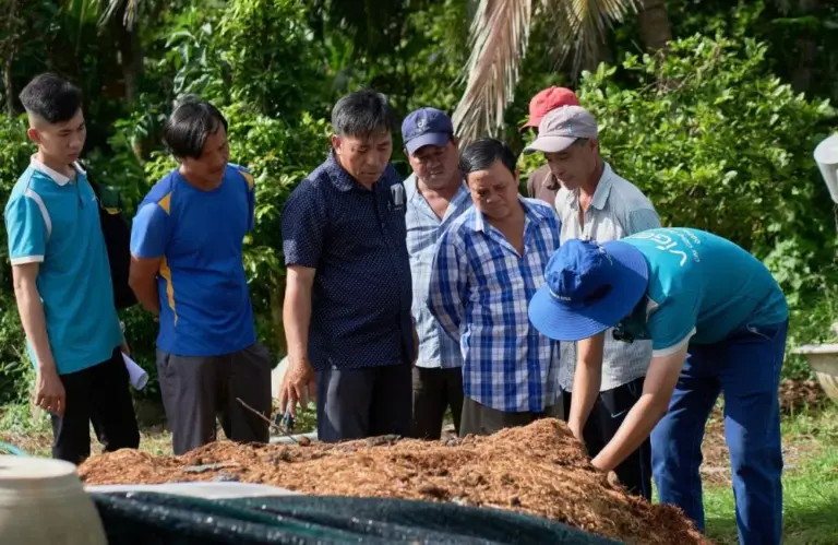 ViGen hướng dẫn xử lý giá thể trồng cúc cho vụ tết 2027