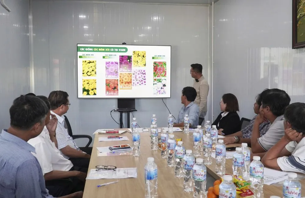 Xử lý giá thể trồng cúc