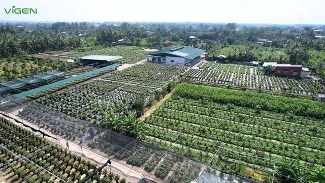 ViGen sẵn sàng vươn mình ra biển lớn, đưa giống cây trồng Việt cạnh tranh quốc tế