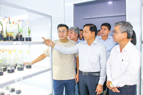 Công nghệ sinh học tạo giá trị mới cho cây giống
