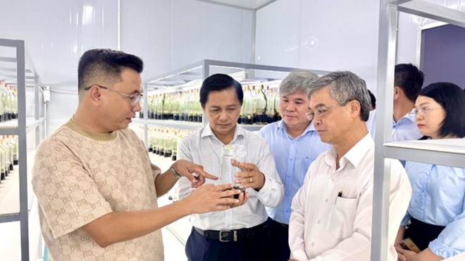 Bí thư Vĩnh Long khảo sát mô hình sản xuất cây giống công nghệ cao
