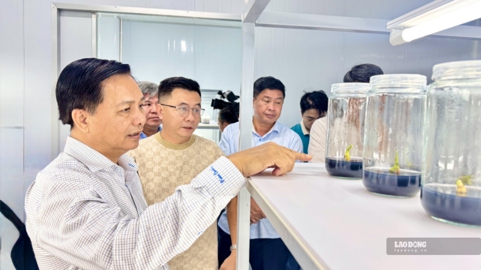 Vĩnh Long đứng đầu cả nước về chỉ số phục vụ hành chính công