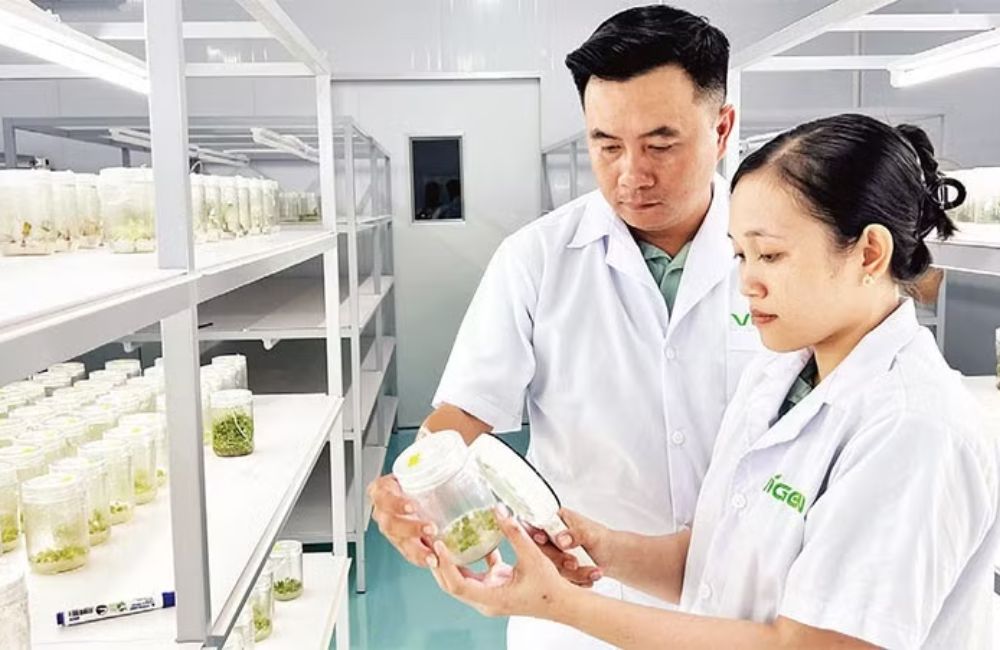 Hiện đại hóa nền nông nghiệp theo hướng xanh, bền vững