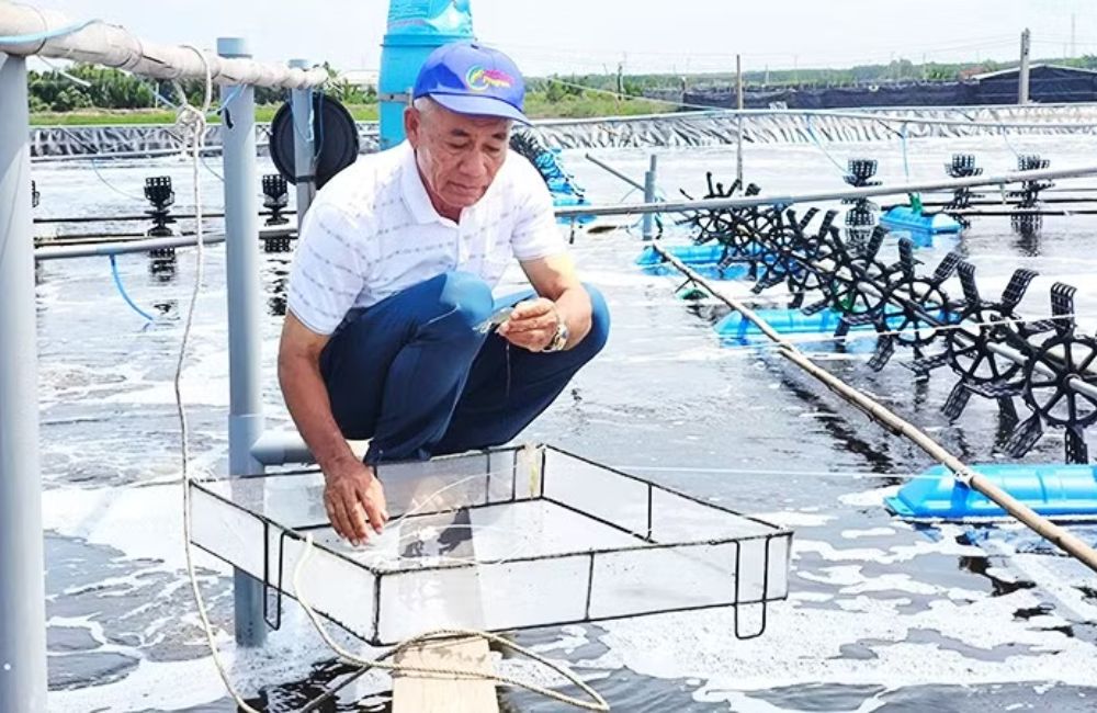 Công nghệ tạo sức bật mới cho nông nghiệp Vĩnh Long