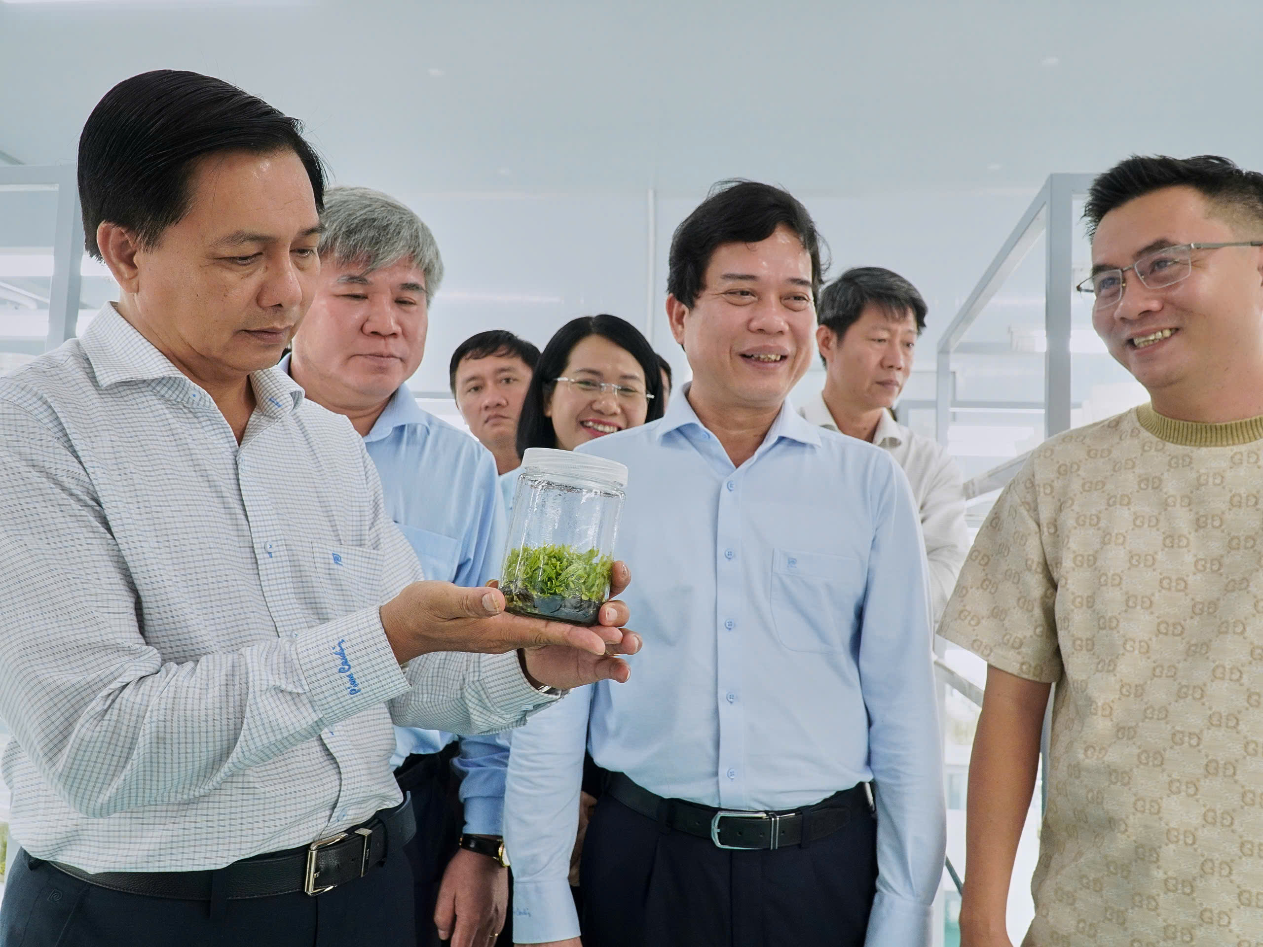 Chợ Lách từng bước đưa công nghệ cao vào làng hoa kiểng