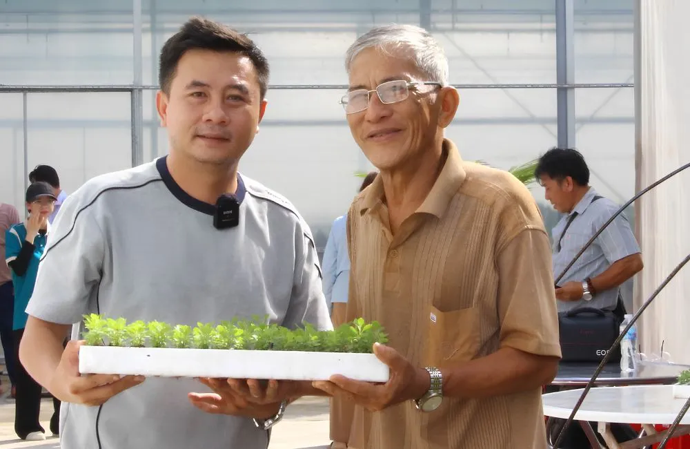 ViGen bàn giao cây giống cúc mâm xôi cấy mô