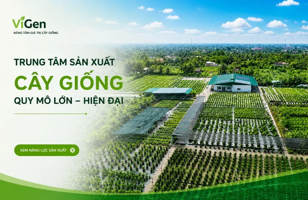 Bảo mật nguồn giống khi gia công cấy mô