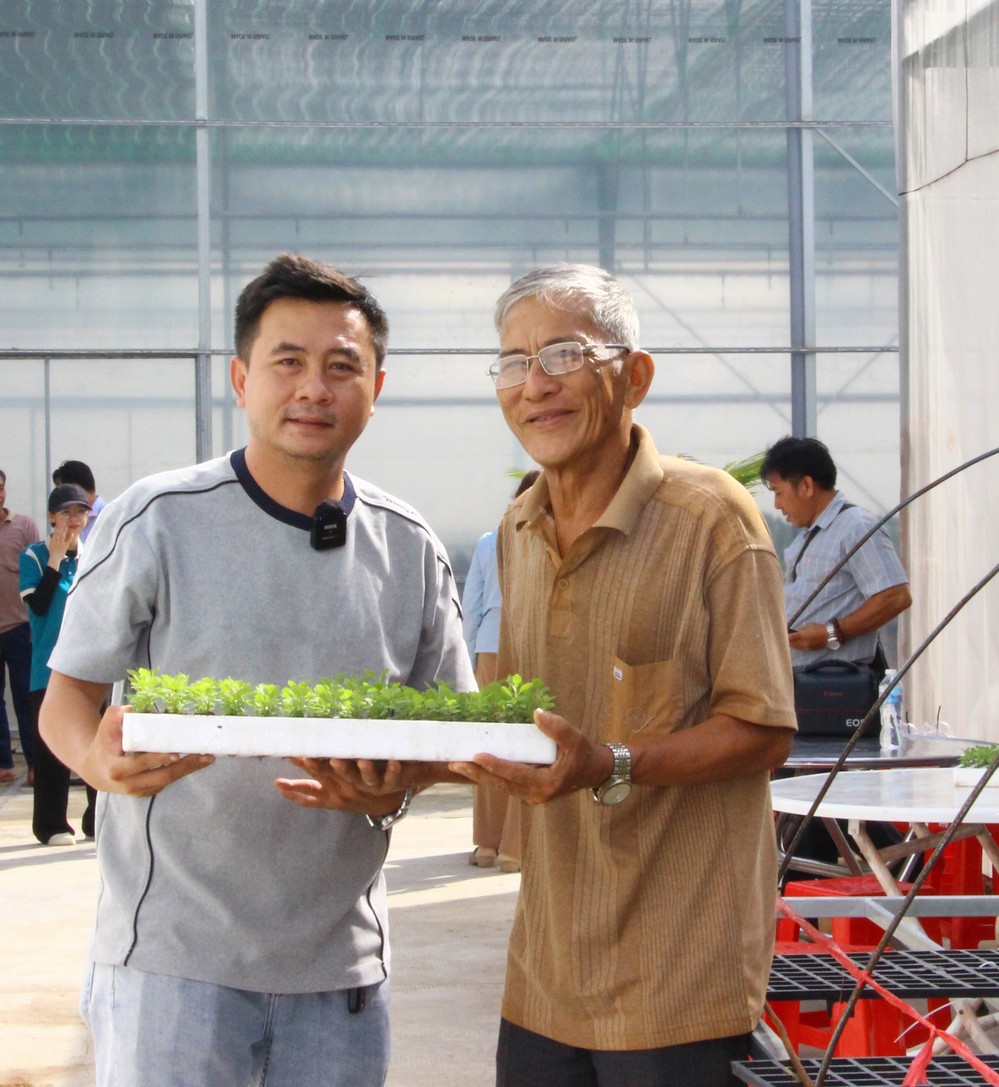 Bàn giao cây giống cúc mâm xôi cấy mô cho nông dân phục vụ vụ hoa Tết 2027