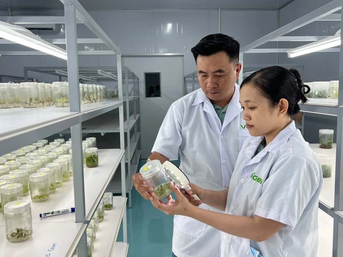 Sôi động ứng dụng công nghệ và chuyển đổi số nông nghiệp Vĩnh Long