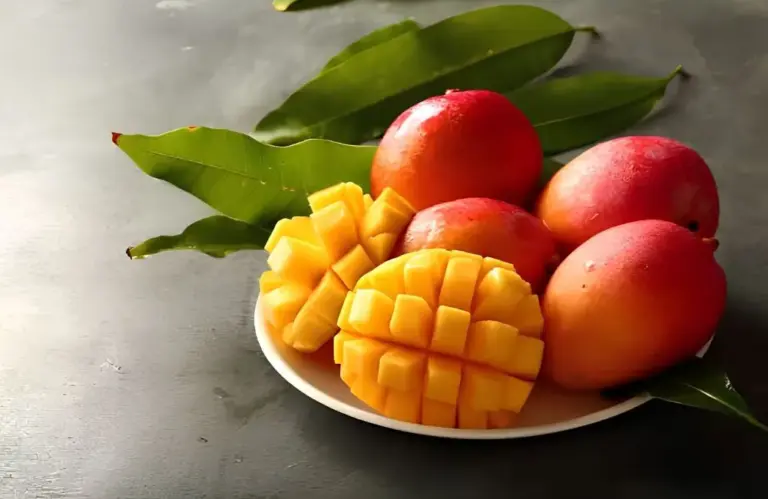 Khám phá những đặc điểm xoài Alphonso làm nên danh tiếng vua xoài